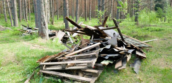 Debris Removal Service in Canonsburg